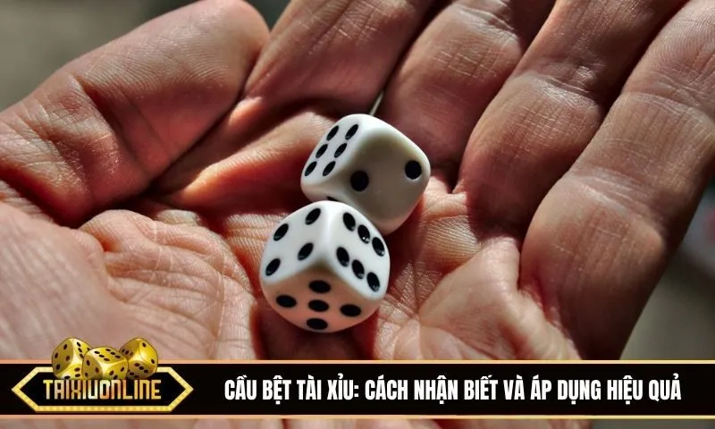 Cầu bệt tài xỉu là gì? Cách nhận biết nhanh và theo cầu hiệu quả