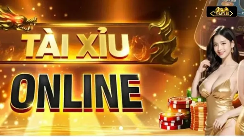Các nội dung quan trọng trong chính sách người chơi nên biết