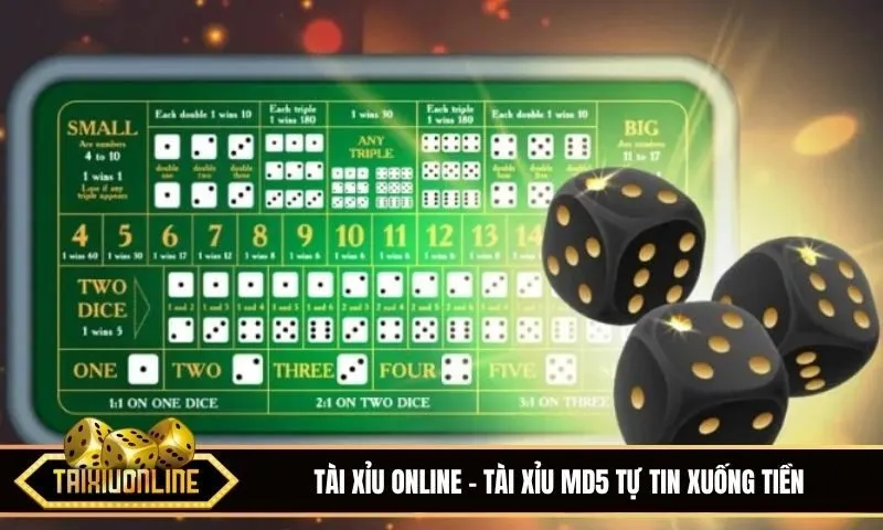 Tài xỉu MD5 mang đến sân chơi chuẩn xanh chín tự tin xuống tiền